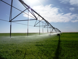 Pivot irrigation near Owainat