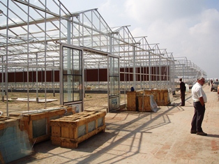 Glasshouse construction in Ladhowal, Punjab