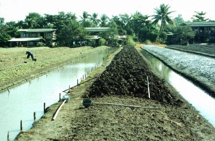 Soil preparation near Bangkok