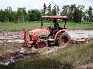 Modern rice cultivation with Kubota 36 HP tractor