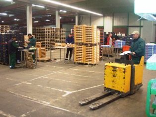 Packhouse operations in Mannheim