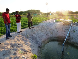 Irrigation well on the Maldives
