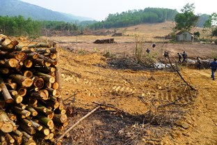 Completed land clearing in Nghe An Province