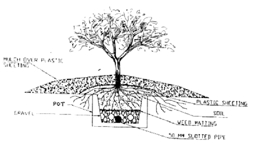 cross section of pot